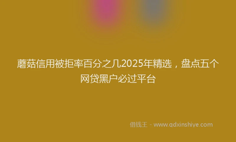 蘑菇信用被拒率百分之几2025年精选，盘点五个网贷黑户必过平台
