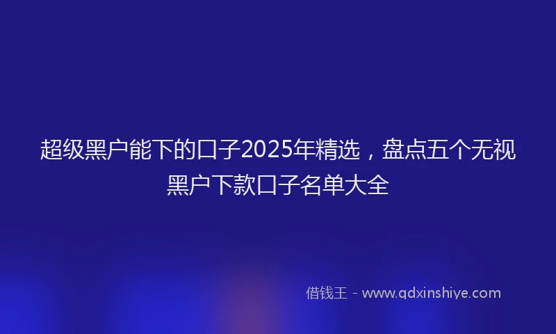 超级黑户能下的口子2025年精选，盘点五个无视黑户下款口子名单大全