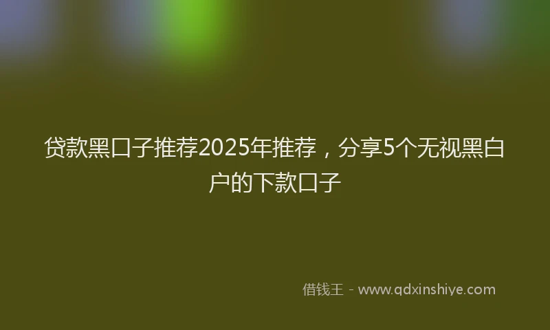 贷款黑口子推荐2025年推荐，分享5个无视黑白户的下款口子