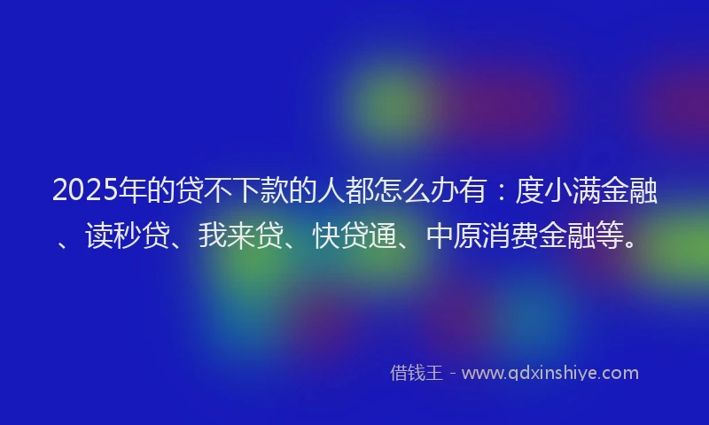 2025年的贷不下款的人都怎么办有：度小满金融、读秒贷、我来贷、快贷通、中原消费金融等。