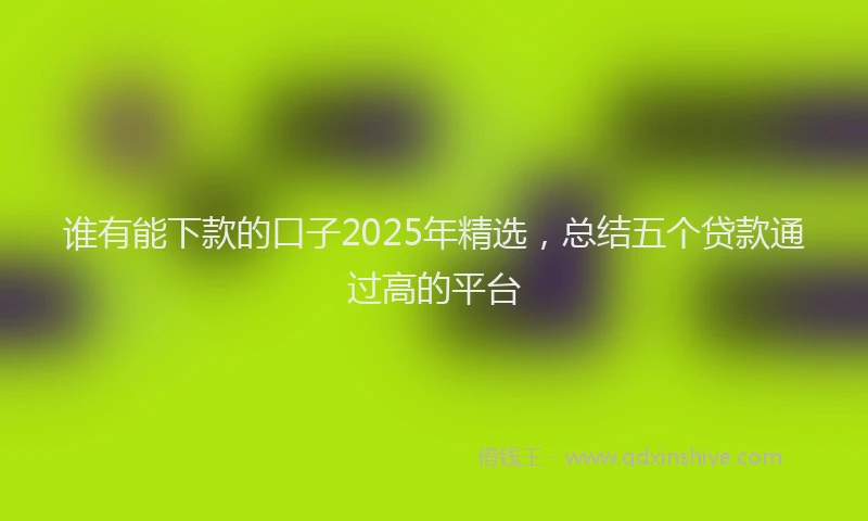 谁有能下款的口子2025年精选，总结五个贷款通过高的平台