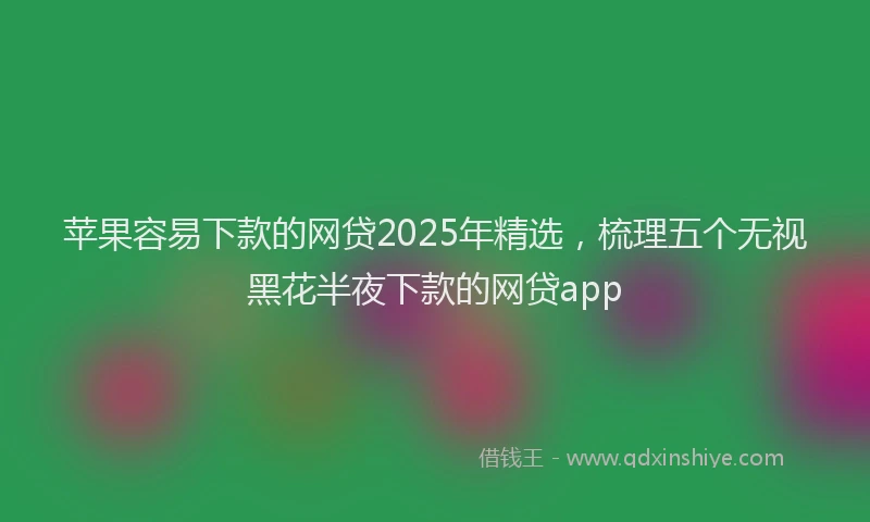 苹果容易下款的网贷2025年精选，梳理五个无视黑花半夜下款的网贷app