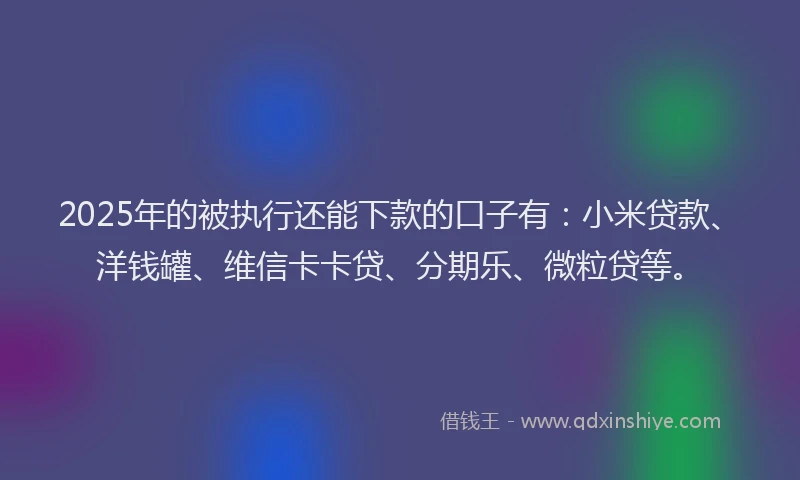 2025年的被执行还能下款的口子有：小米贷款、洋钱罐、维信卡卡贷、分期乐、微粒贷等。
