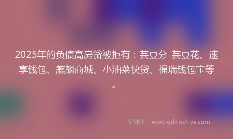 2025年的负债高房贷被拒有：芸豆分-芸豆花、速享钱包、麒麟商城、小油菜快贷、福瑞钱包宝等。