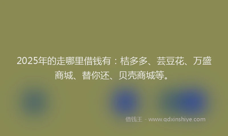 2025年的走哪里借钱有：桔多多、芸豆花、万盛商城、替你还、贝壳商城等。