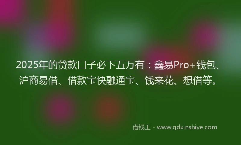 2025年的贷款口子必下五万有：鑫易Pro+钱包、沪商易借、借款宝快融通宝、钱来花、想借等。