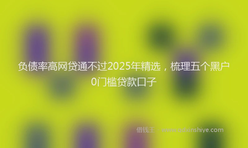 负债率高网贷通不过2025年精选，梳理五个黑户0门槛贷款口子