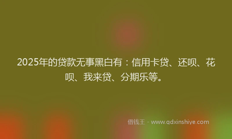 2025年的贷款无事黑白有：信用卡贷、还呗、花呗、我来贷、分期乐等。