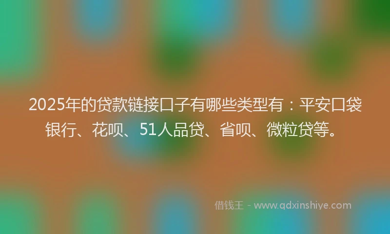 2025年的贷款链接口子有哪些类型有：平安口袋银行、花呗、51人品贷、省呗、微粒贷等。