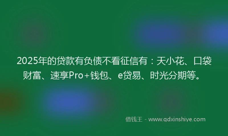 2025年的贷款有负债不看征信有：天小花、口袋财富、速享Pro+钱包、e贷易、时光分期等。