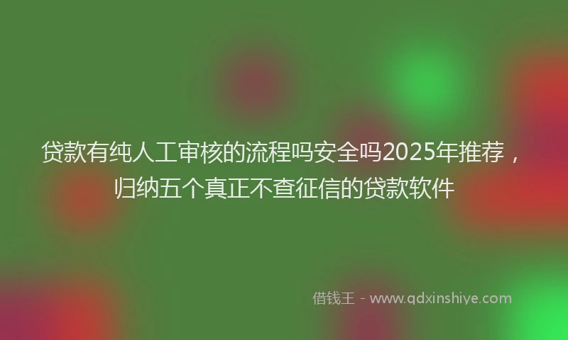 贷款有纯人工审核的流程吗安全吗2025年推荐，归纳五个真正不查征信的贷款软件
