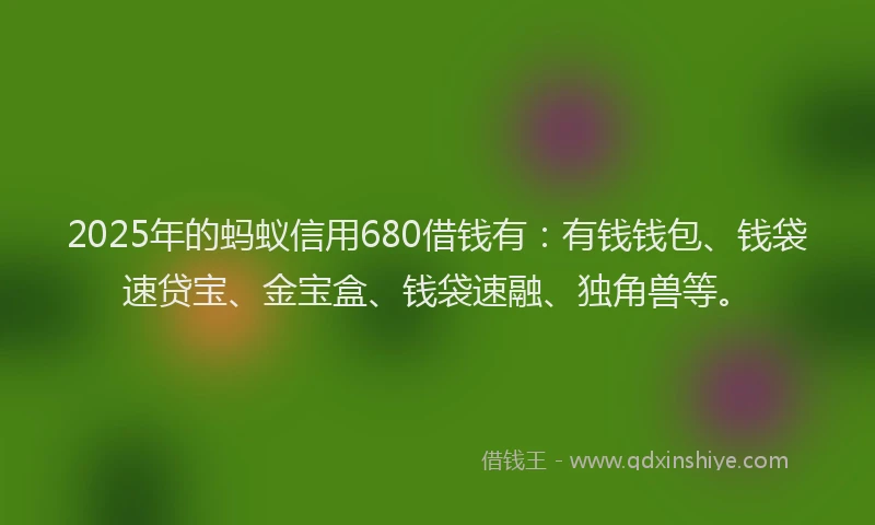 2025年的蚂蚁信用680借钱有：有钱钱包、钱袋速贷宝、金宝盒、钱袋速融、独角兽等。