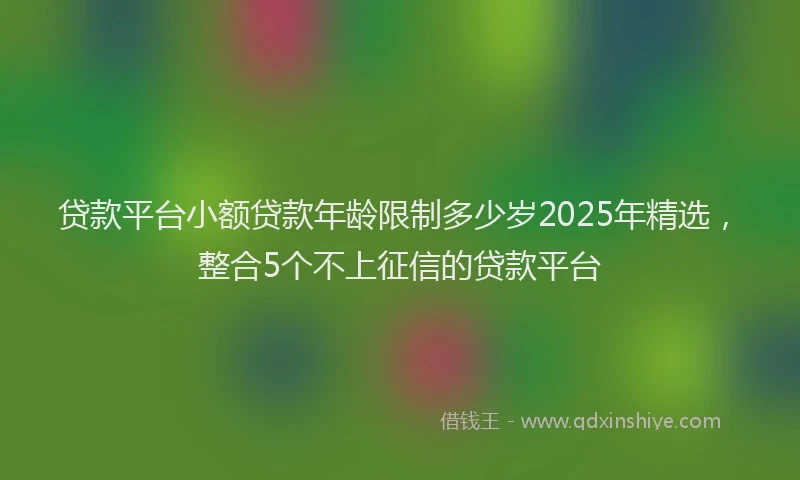 贷款平台小额贷款年龄限制多少岁2025年精选，整合5个不上征信的贷款平台