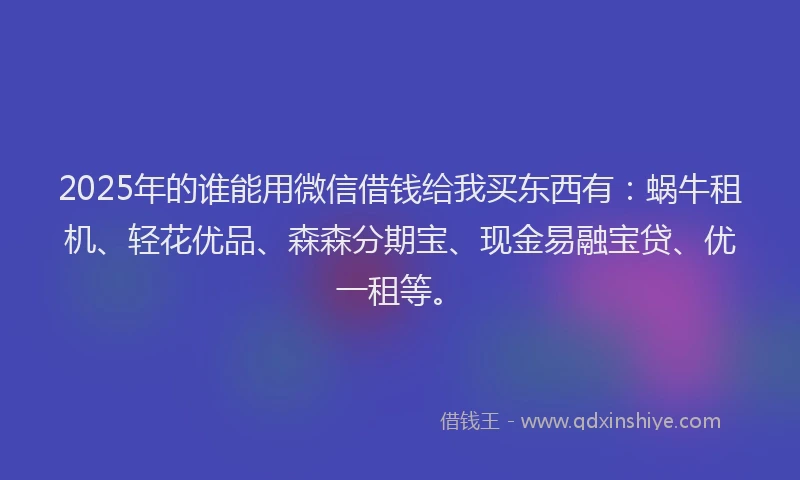 2025年的谁能用微信借钱给我买东西有：蜗牛租机、轻花优品、森森分期宝、现金易融宝贷、优一租等。
