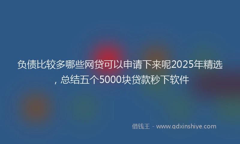 负债比较多哪些网贷可以申请下来呢2025年精选，总结五个5000块贷款秒下软件