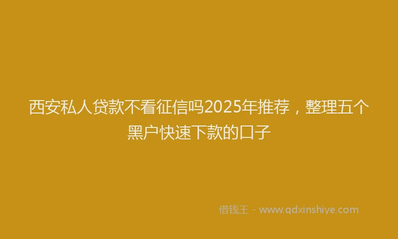 西安私人贷款不看征信吗2025年推荐，整理五个黑户快速下款的口子