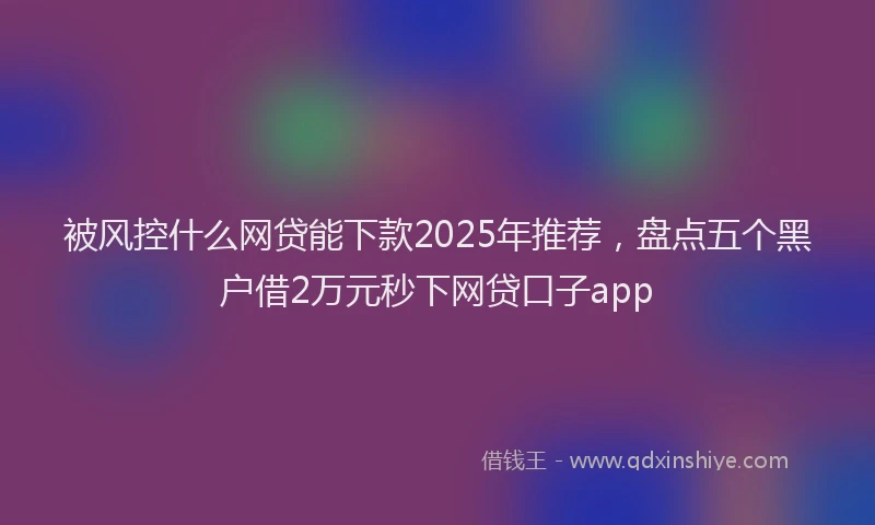 被风控什么网贷能下款2025年推荐，盘点五个黑户借2万元秒下网贷口子app