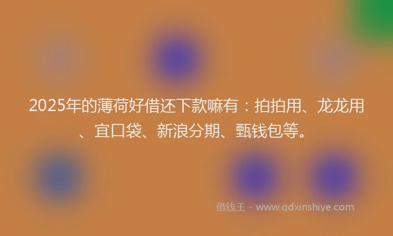 2025年的薄荷好借还下款嘛有：拍拍用、龙龙用、宜口袋、新浪分期、甄钱包等。