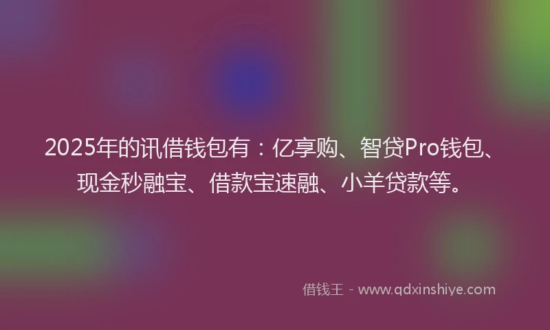 2025年的讯借钱包有：亿享购、智贷Pro钱包、现金秒融宝、借款宝速融、小羊贷款等。
