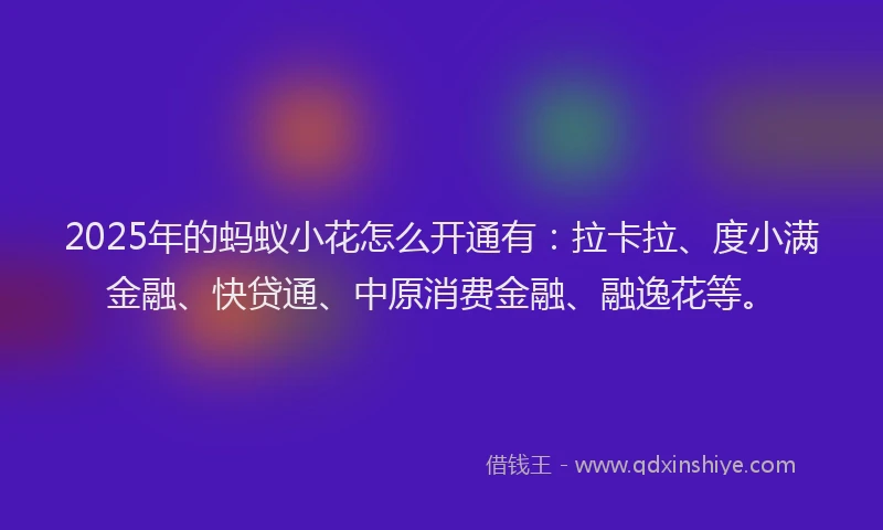 2025年的蚂蚁小花怎么开通有：拉卡拉、度小满金融、快贷通、中原消费金融、融逸花等。