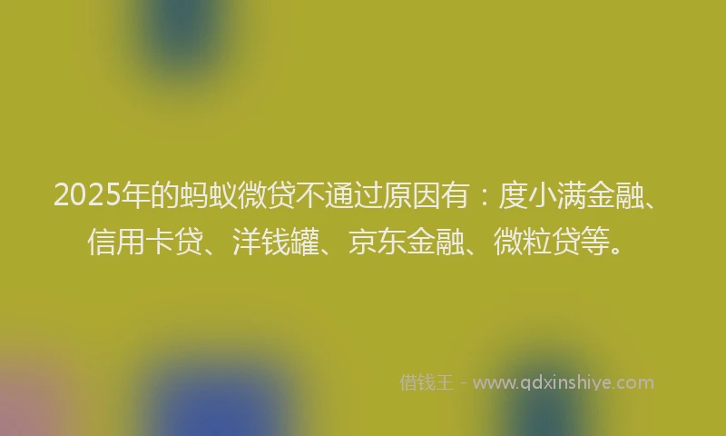 2025年的蚂蚁微贷不通过原因有：度小满金融、信用卡贷、洋钱罐、京东金融、微粒贷等。