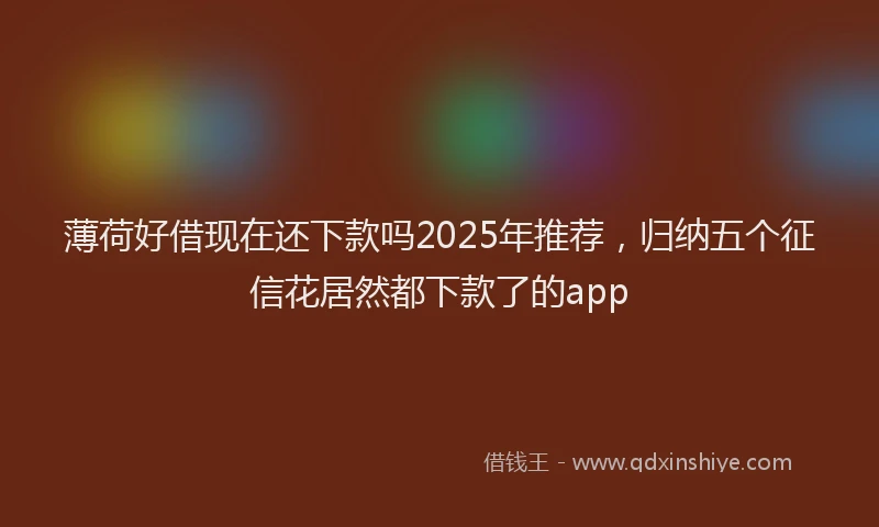薄荷好借现在还下款吗2025年推荐，归纳五个征信花居然都下款了的app