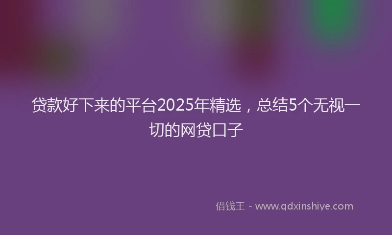 贷款好下来的平台2025年精选，总结5个无视一切的网贷口子