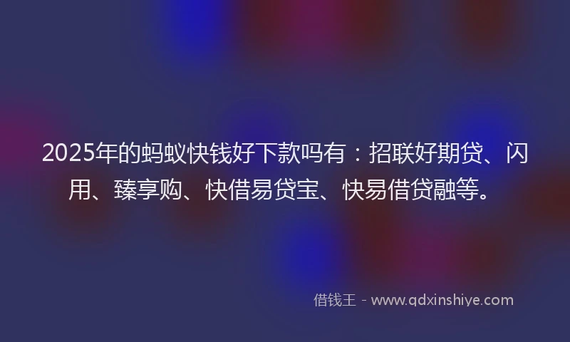 2025年的蚂蚁快钱好下款吗有：招联好期贷、闪用、臻享购、快借易贷宝、快易借贷融等。
