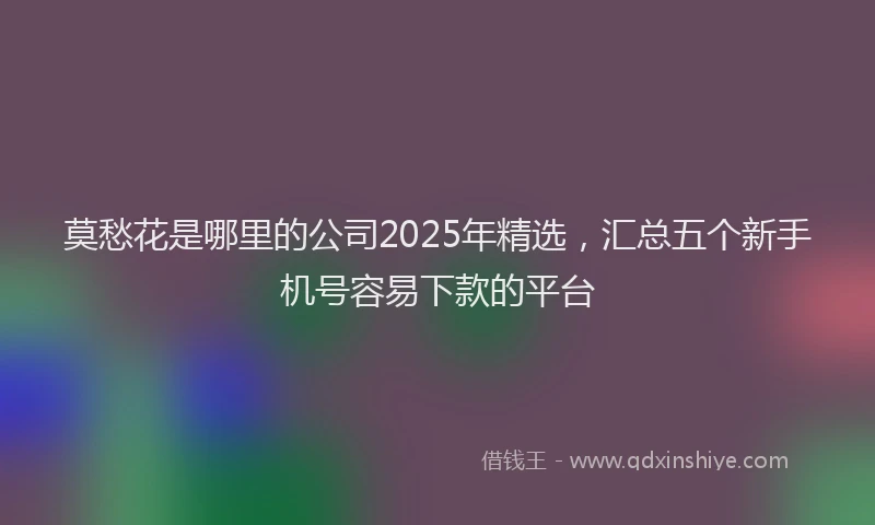 莫愁花是哪里的公司2025年精选，汇总五个新手机号容易下款的平台