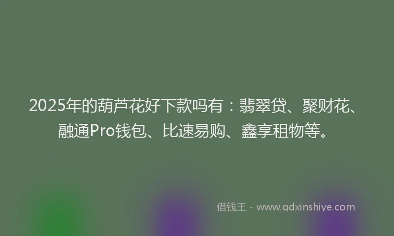 2025年的葫芦花好下款吗有：翡翠贷、聚财花、融通Pro钱包、比速易购、鑫享租物等。