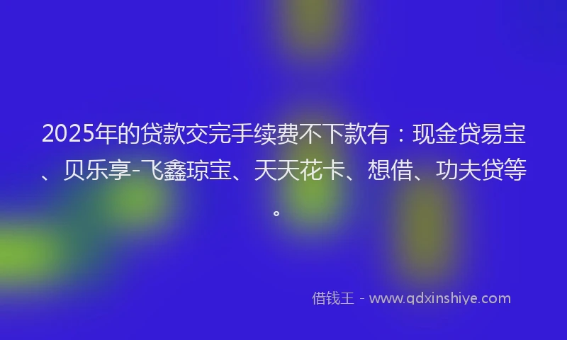 2025年的贷款交完手续费不下款有：现金贷易宝、贝乐享-飞鑫琼宝、天天花卡、想借、功夫贷等。