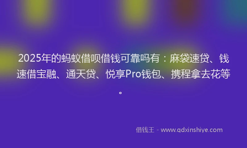 2025年的蚂蚁借呗借钱可靠吗有：麻袋速贷、钱速借宝融、通天贷、悦享Pro钱包、携程拿去花等。