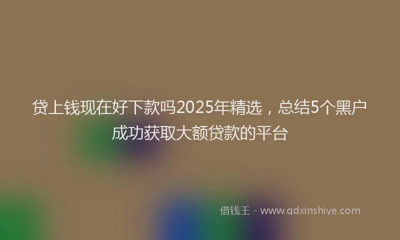 贷上钱现在好下款吗2025年精选，总结5个黑户成功获取大额贷款的平台