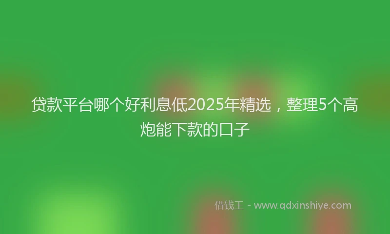 贷款平台哪个好利息低2025年精选，整理5个高炮能下款的口子