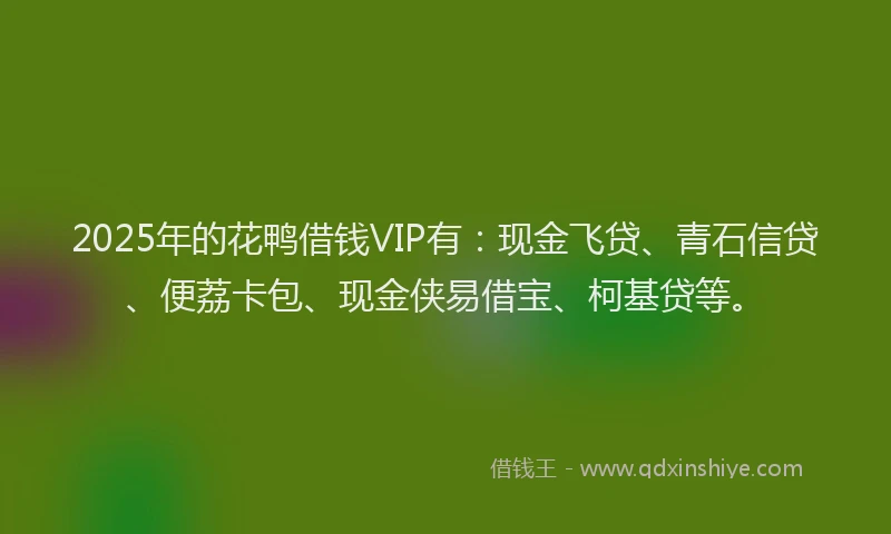 2025年的花鸭借钱VIP有：现金飞贷、青石信贷、便荔卡包、现金侠易借宝、柯基贷等。