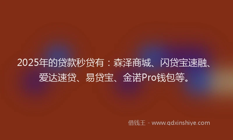 2025年的贷款秒贷有：森泽商城、闪贷宝速融、爱达速贷、易贷宝、金诺Pro钱包等。