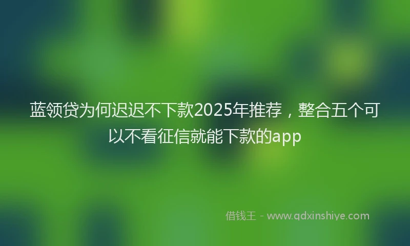 蓝领贷为何迟迟不下款2025年推荐，整合五个可以不看征信就能下款的app