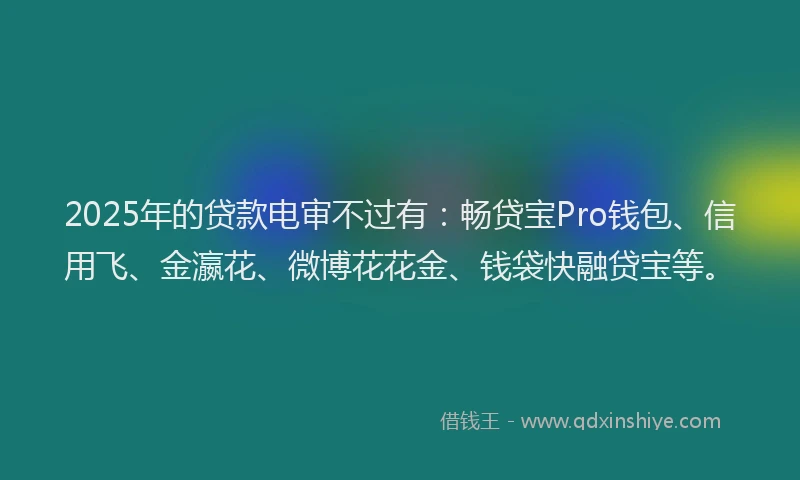 2025年的贷款电审不过有：畅贷宝Pro钱包、信用飞、金瀛花、微博花花金、钱袋快融贷宝等。