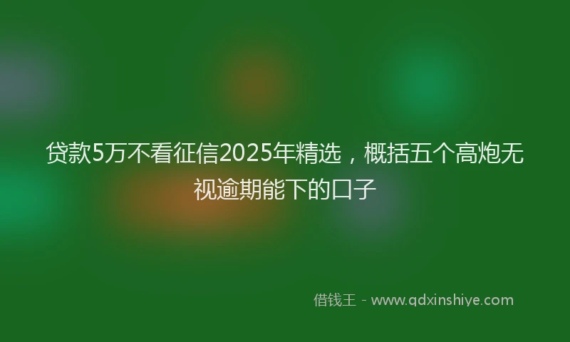 贷款5万不看征信2025年精选，概括五个高炮无视逾期能下的口子