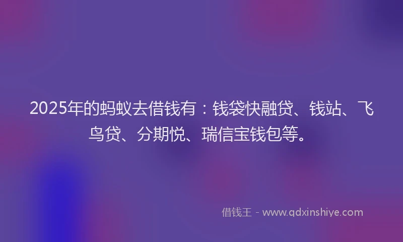 2025年的蚂蚁去借钱有：钱袋快融贷、钱站、飞鸟贷、分期悦、瑞信宝钱包等。