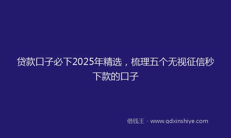 贷款口子必下2025年精选，梳理五个无视征信秒下款的口子