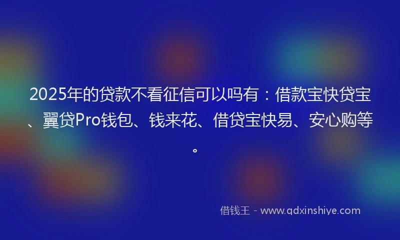 2025年的贷款不看征信可以吗有：借款宝快贷宝、翼贷Pro钱包、钱来花、借贷宝快易、安心购等。