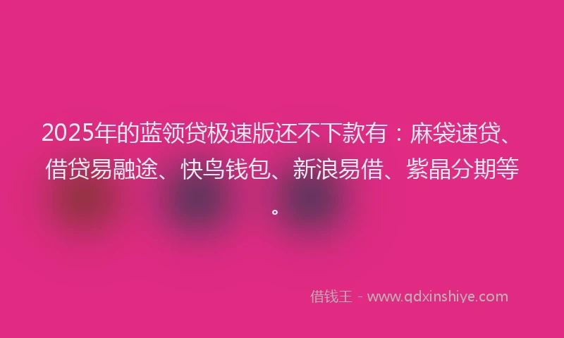 2025年的蓝领贷极速版还不下款有：麻袋速贷、借贷易融途、快鸟钱包、新浪易借、紫晶分期等。