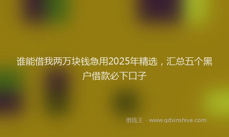 谁能借我两万块钱急用2025年精选，汇总五个黑户借款必下口子