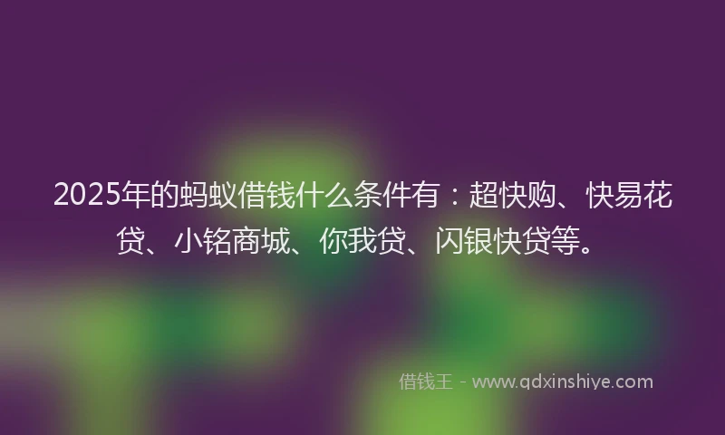 2025年的蚂蚁借钱什么条件有：超快购、快易花贷、小铭商城、你我贷、闪银快贷等。