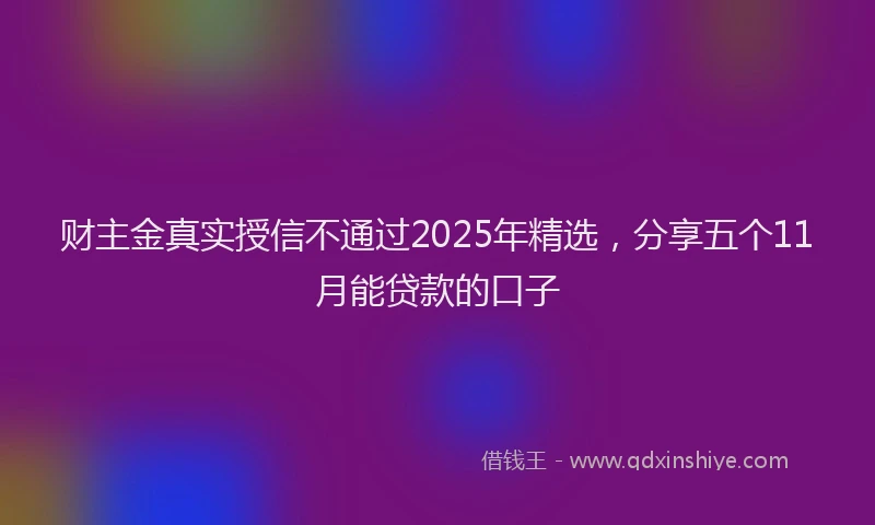 财主金真实授信不通过2025年精选，分享五个11月能贷款的口子