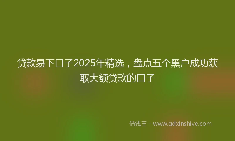 贷款易下口子2025年精选，盘点五个黑户成功获取大额贷款的口子