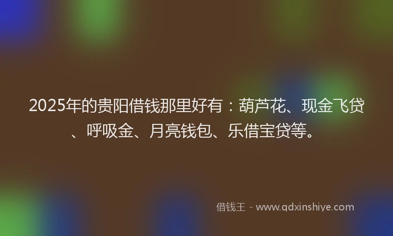 2025年的贵阳借钱那里好有：葫芦花、现金飞贷、呼吸金、月亮钱包、乐借宝贷等。