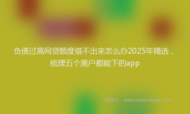 负债过高网贷额度借不出来怎么办2025年精选，梳理五个黑户都能下的app