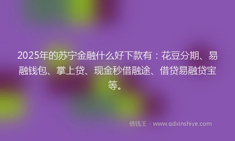 2025年的苏宁金融什么好下款有：花豆分期、易融钱包、掌上贷、现金秒借融途、借贷易融贷宝等。